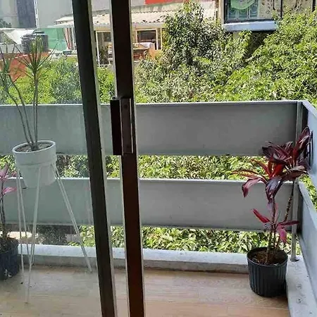 Cozy Apartment In Condesa'S Heart !